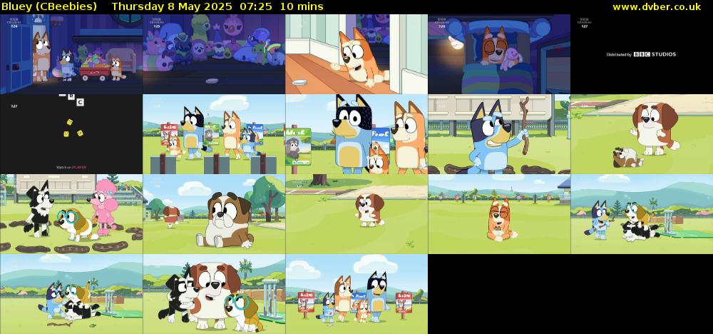 Bluey (CBeebies) Thursday 8 May 2025 07:25 - 07:35