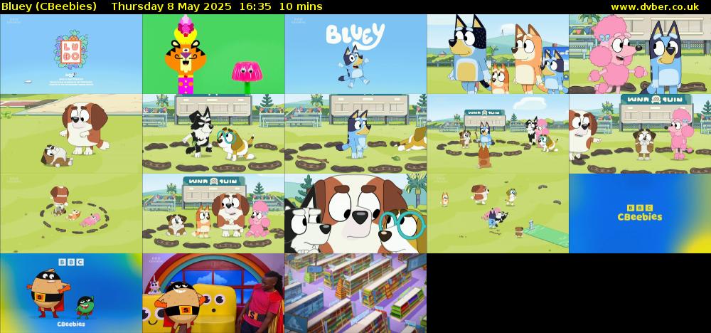 Bluey CBeebies 2025 05 08 1635 bluey-cbeebies-2025-05-08-1635