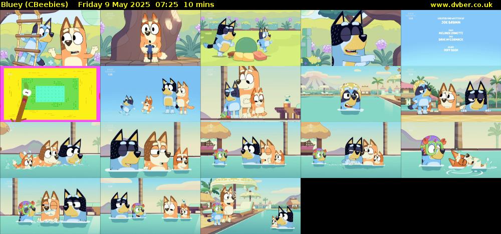 Bluey (CBeebies) Friday 9 May 2025 07:25 - 07:35