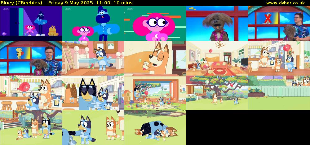 Bluey (CBeebies) Friday 9 May 2025 11:00 - 11:10
