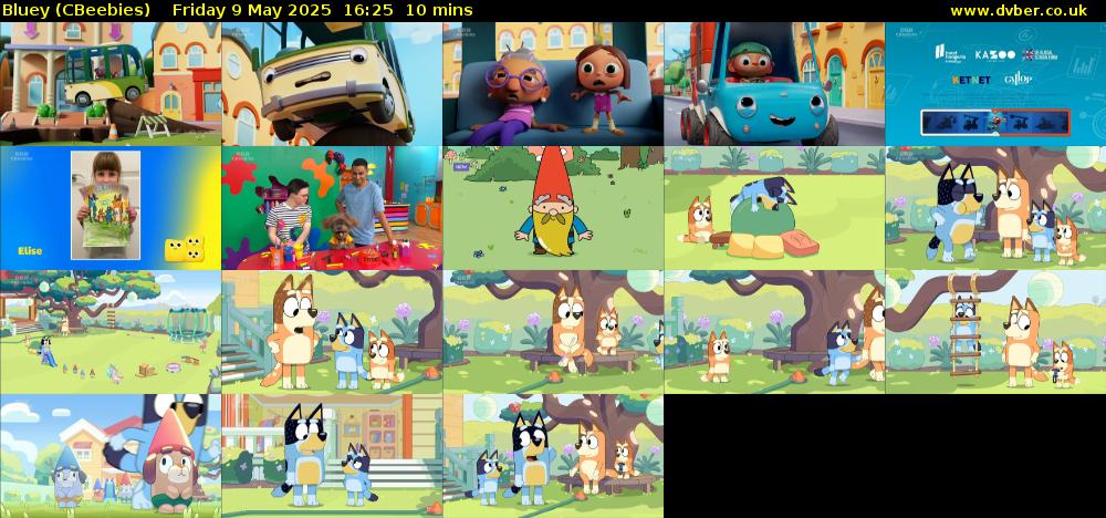 Bluey (CBeebies) Friday 9 May 2025 16:25 - 16:35
