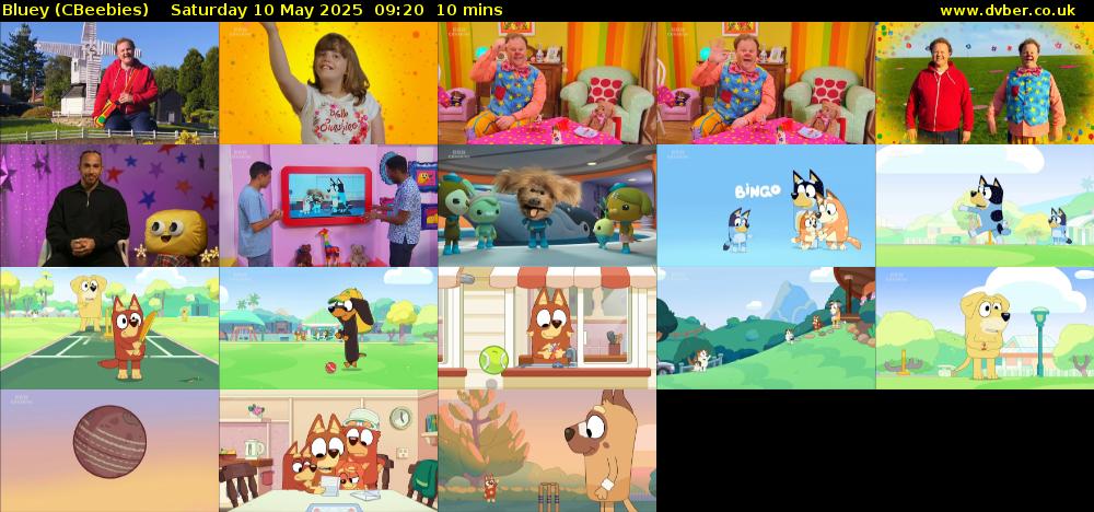 Bluey (CBeebies) Saturday 10 May 2025 09:20 - 09:30