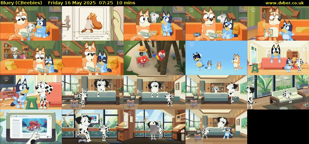 Bluey (CBeebies) Friday 16 May 2025 07:25 - 07:35