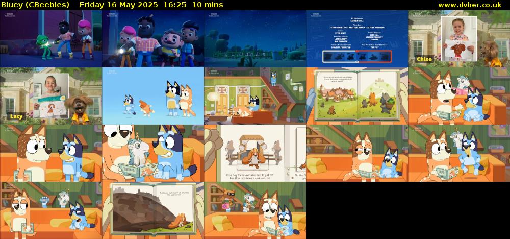 Bluey (CBeebies) Friday 16 May 2025 16:25 - 16:35