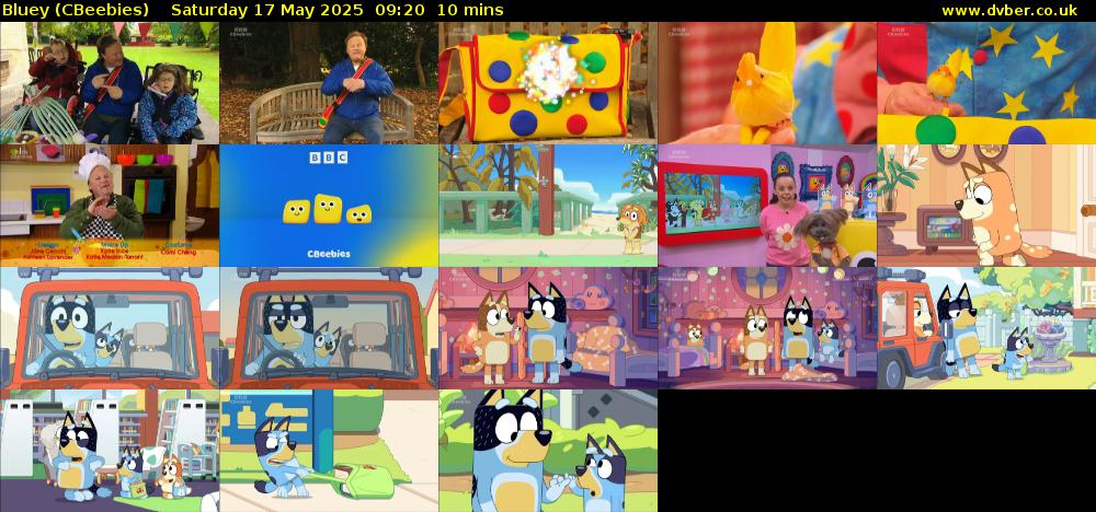 Bluey (CBeebies) Saturday 17 May 2025 09:20 - 09:30