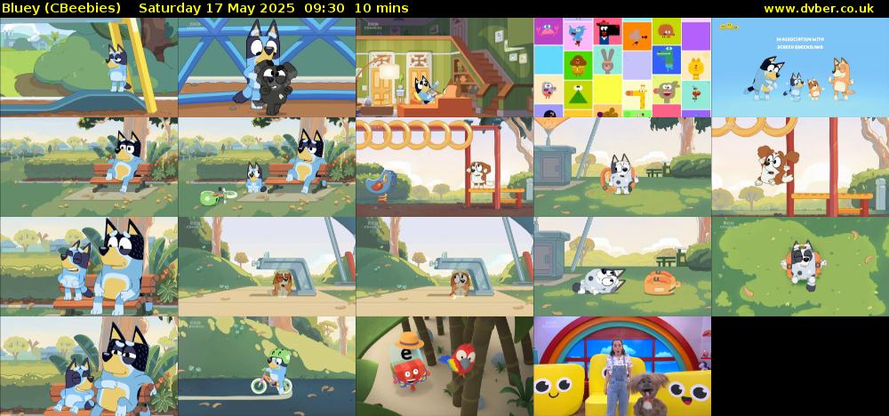 Bluey (CBeebies) Saturday 17 May 2025 09:30 - 09:40