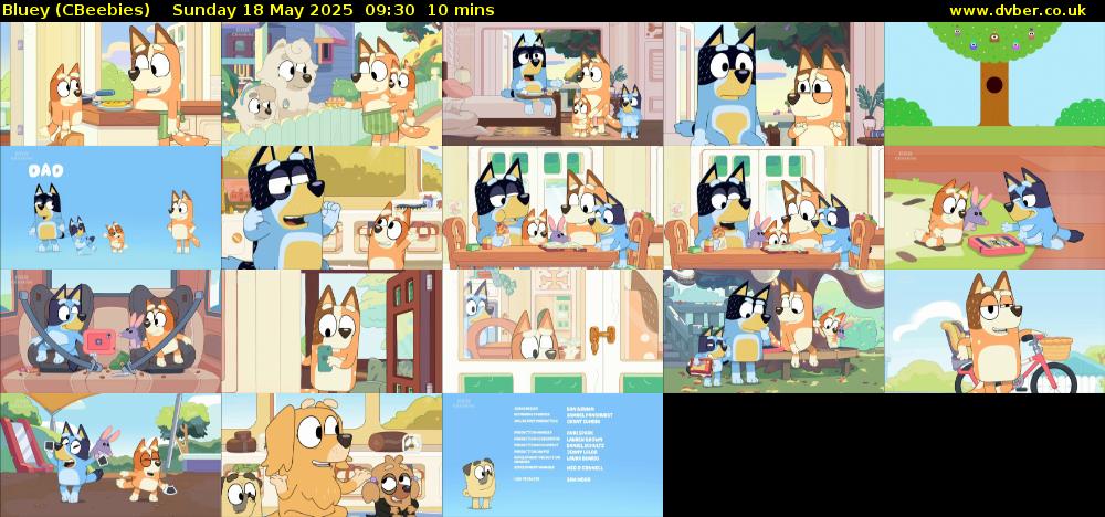 Bluey (CBeebies) Sunday 18 May 2025 09:30 - 09:40