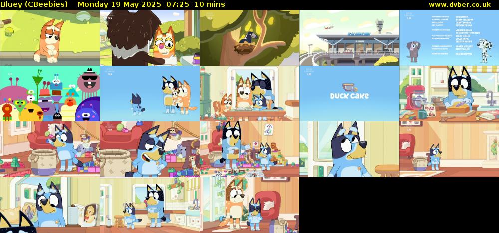 Bluey (CBeebies) Monday 19 May 2025 07:25 - 07:35