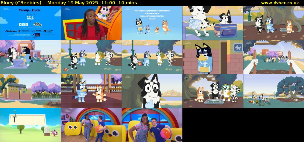 Bluey (CBeebies) Monday 19 May 2025 11:00 - 11:10