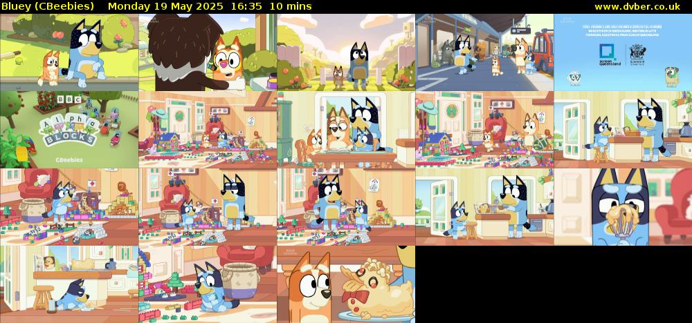 Bluey (CBeebies) Monday 19 May 2025 16:35 - 16:45