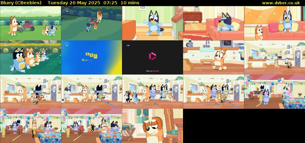 Bluey (CBeebies) Tuesday 20 May 2025 07:25 - 07:35