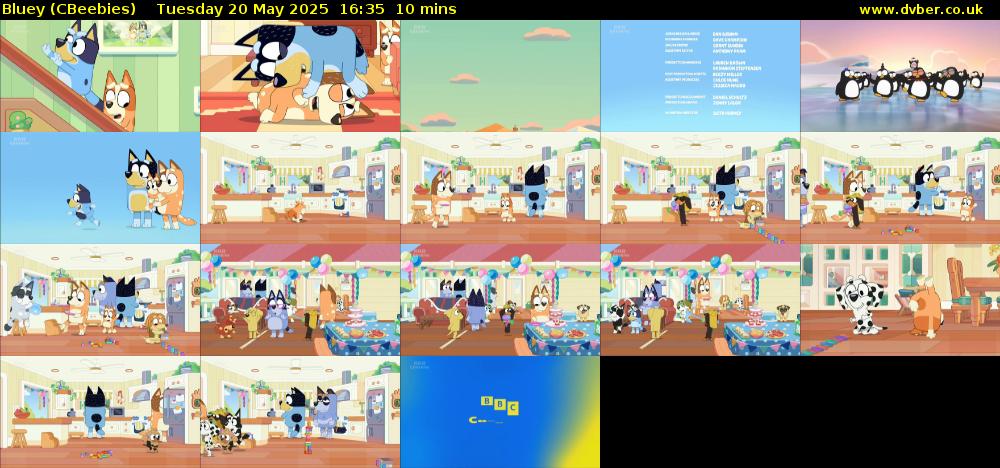 Bluey (CBeebies) Tuesday 20 May 2025 16:35 - 16:45