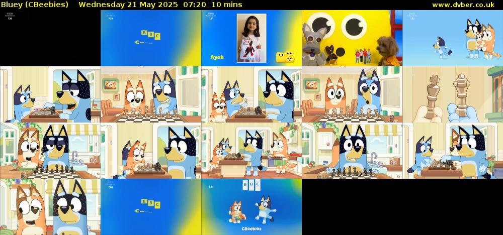 Bluey (CBeebies) Wednesday 21 May 2025 07:20 - 07:30