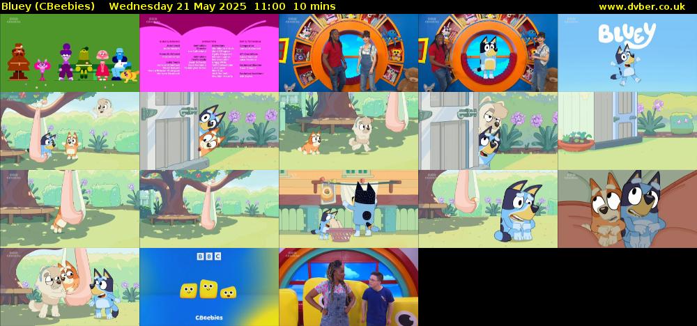 Bluey (CBeebies) Wednesday 21 May 2025 11:00 - 11:10