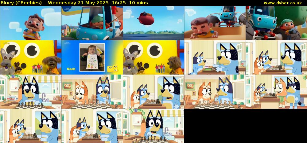 Bluey (CBeebies) Wednesday 21 May 2025 16:25 - 16:35