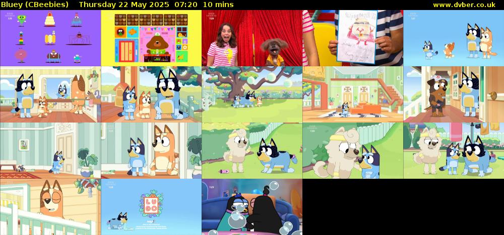 Bluey (CBeebies) Thursday 22 May 2025 07:20 - 07:30