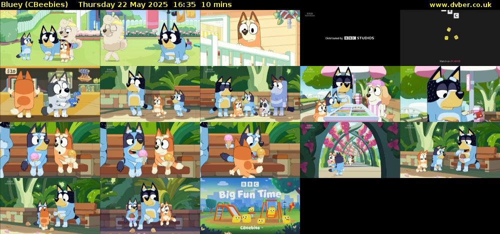 Bluey (CBeebies) Thursday 22 May 2025 16:35 - 16:45