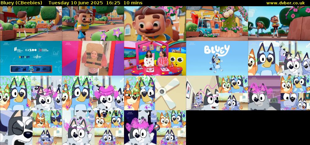 bluey-cbeebies-2025-06-10-1625