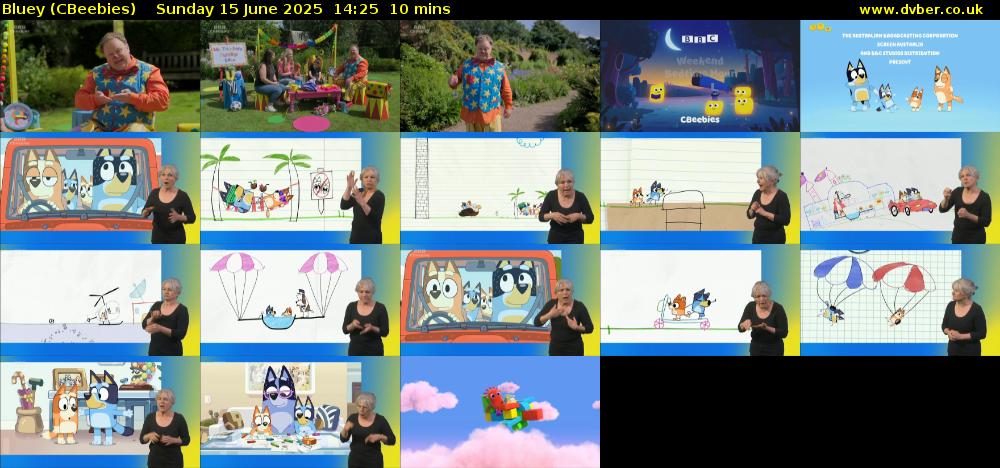 Bluey (CBeebies) Sunday 15 June 2025 14:25 - 14:35