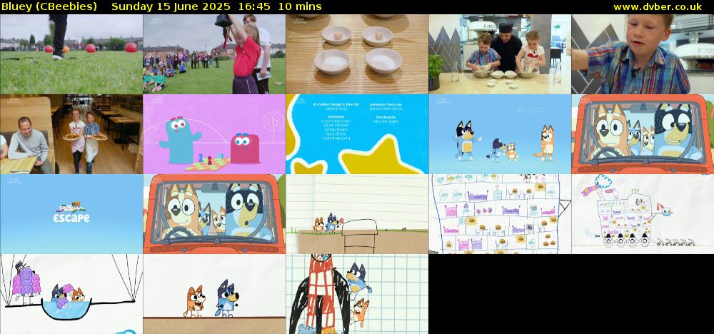 Bluey (CBeebies) Sunday 15 June 2025 16:45 - 16:55