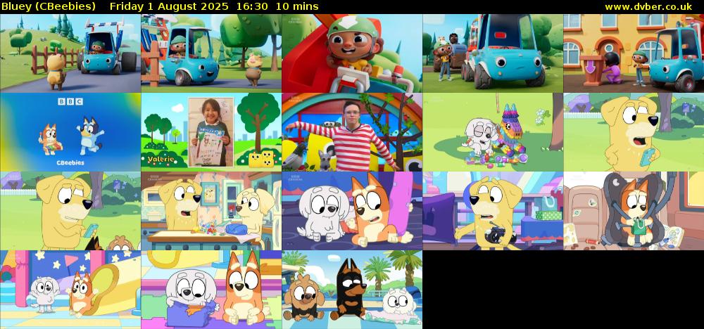 Bluey (CBeebies) Friday 1 August 2025 16:30 - 16:40