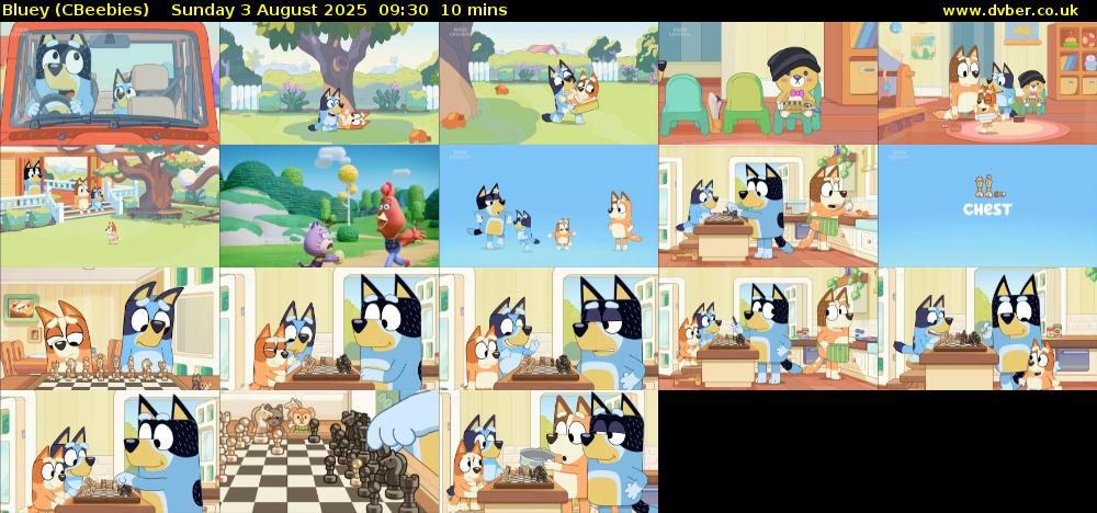 Bluey (CBeebies) Sunday 3 August 2025 09:30 - 09:40