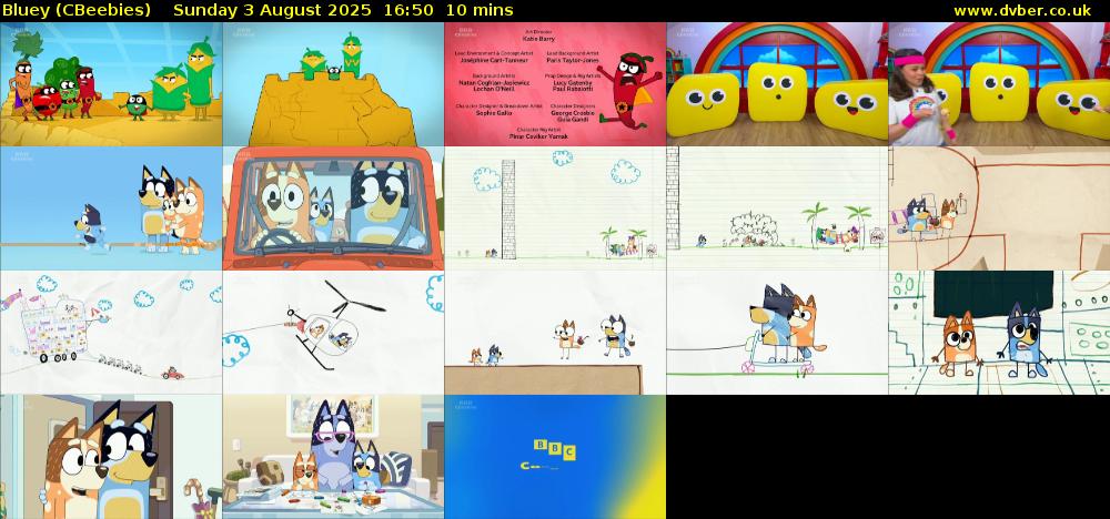 Bluey (CBeebies) Sunday 3 August 2025 16:50 - 17:00