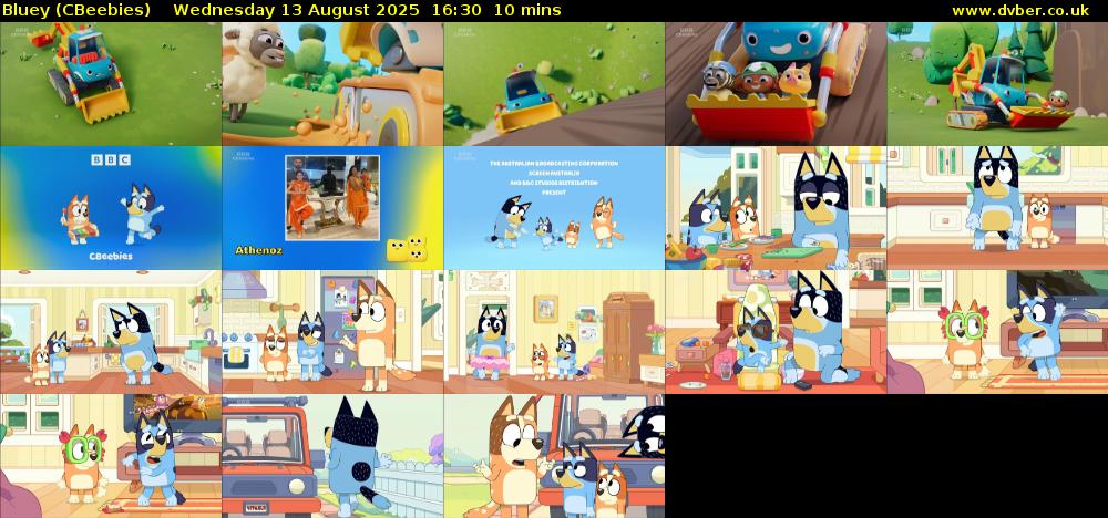Bluey (CBeebies) Wednesday 13 August 2025 16:30 - 16:40