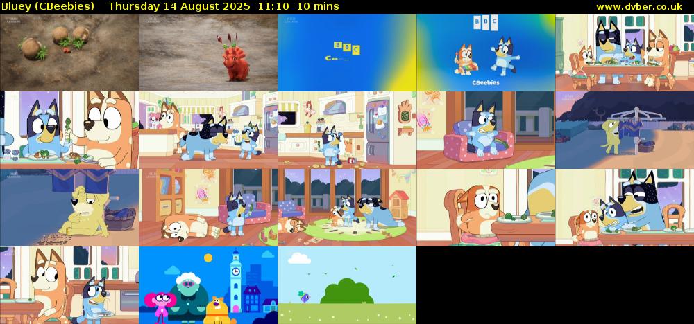 Bluey (CBeebies) Thursday 14 August 2025 11:10 - 11:20
