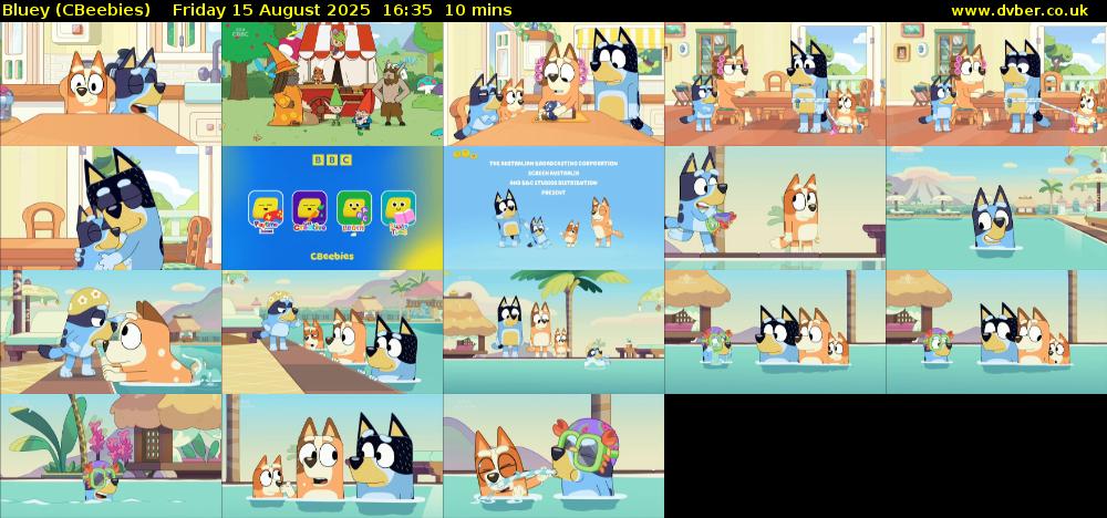 Bluey (CBeebies) Friday 15 August 2025 16:35 - 16:45