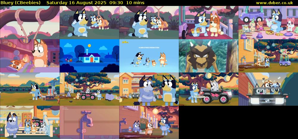 Bluey (CBeebies) Saturday 16 August 2025 09:30 - 09:40