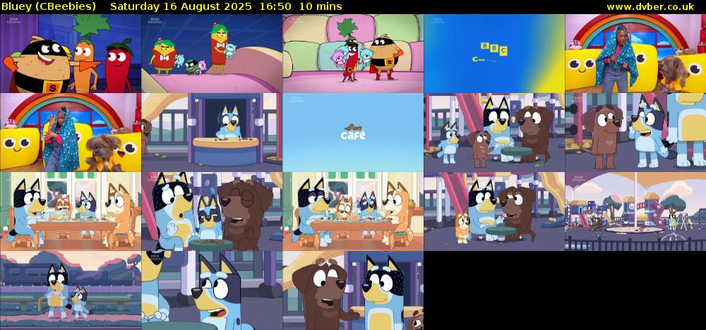 Bluey (CBeebies) Saturday 16 August 2025 16:50 - 17:00