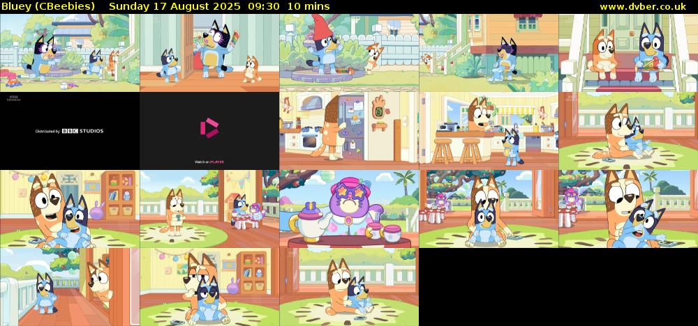 Bluey (CBeebies) Sunday 17 August 2025 09:30 - 09:40