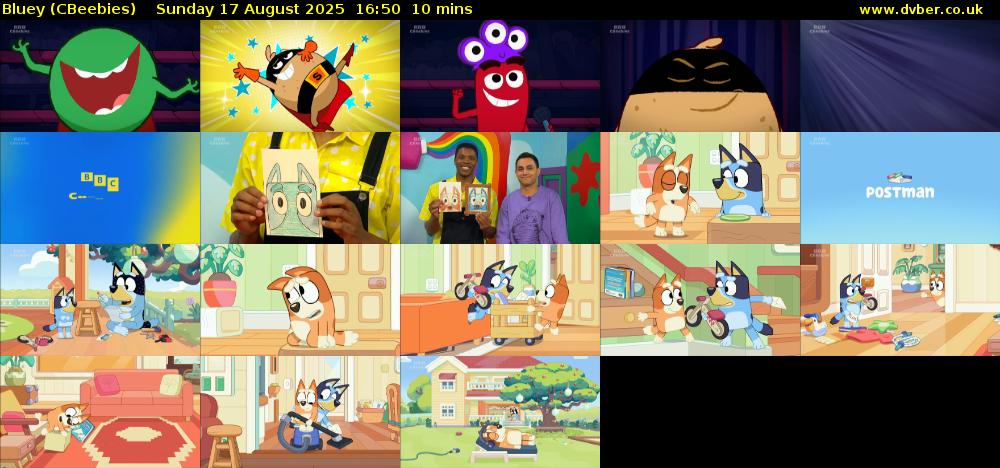 Bluey (CBeebies) Sunday 17 August 2025 16:50 - 17:00