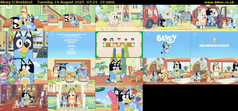 Bluey (CBeebies) Tuesday 19 August 2025 07:25 - 07:35