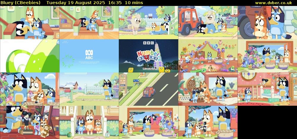 Bluey (CBeebies) Tuesday 19 August 2025 16:35 - 16:45