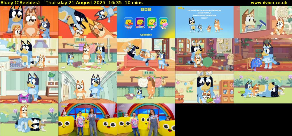 Bluey (CBeebies) Thursday 21 August 2025 16:35 - 16:45
