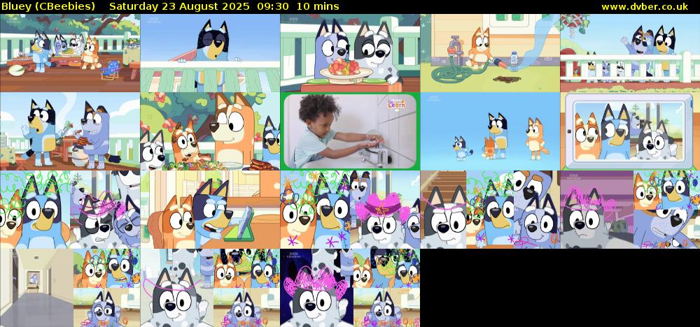 Bluey (CBeebies) Saturday 23 August 2025 09:30 - 09:40