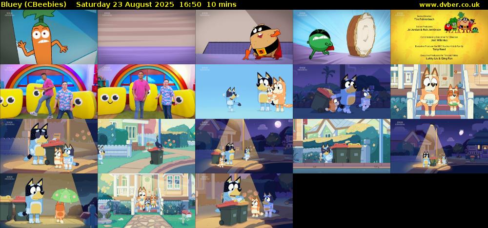 Bluey (CBeebies) Saturday 23 August 2025 16:50 - 17:00