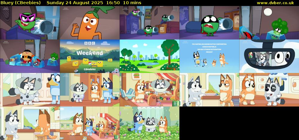 Bluey (CBeebies) Sunday 24 August 2025 16:50 - 17:00
