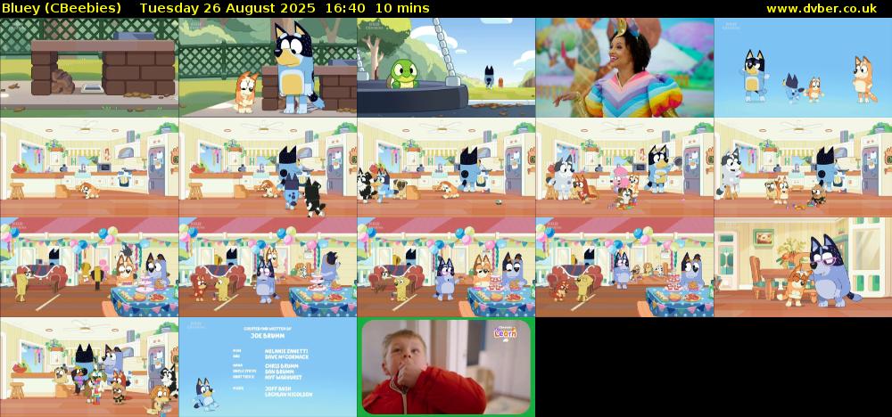 Bluey (CBeebies) Tuesday 26 August 2025 16:40 - 16:50