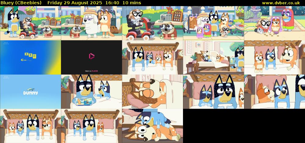Bluey (CBeebies) Friday 29 August 2025 16:40 - 16:50
