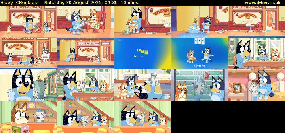Bluey (CBeebies) Saturday 30 August 2025 09:30 - 09:40