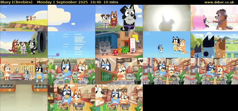 Bluey (CBeebies) Monday 1 September 2025 16:40 - 16:50
