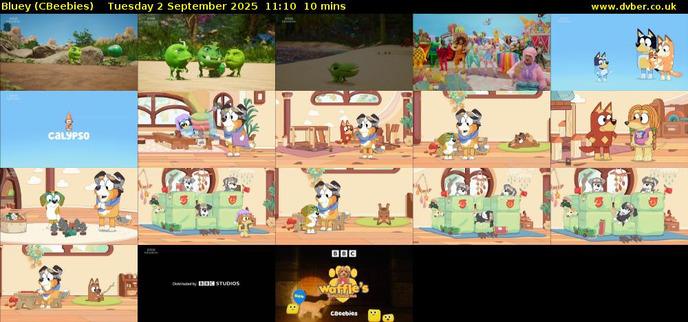 Bluey (CBeebies) Tuesday 2 September 2025 11:10 - 11:20