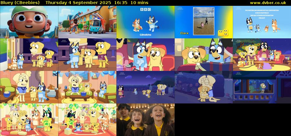 Bluey (CBeebies) Thursday 4 September 2025 16:35 - 16:45