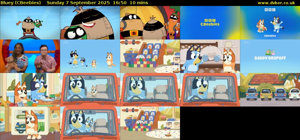 Bluey (CBeebies) Sunday 7 September 2025 16:50 - 17:00