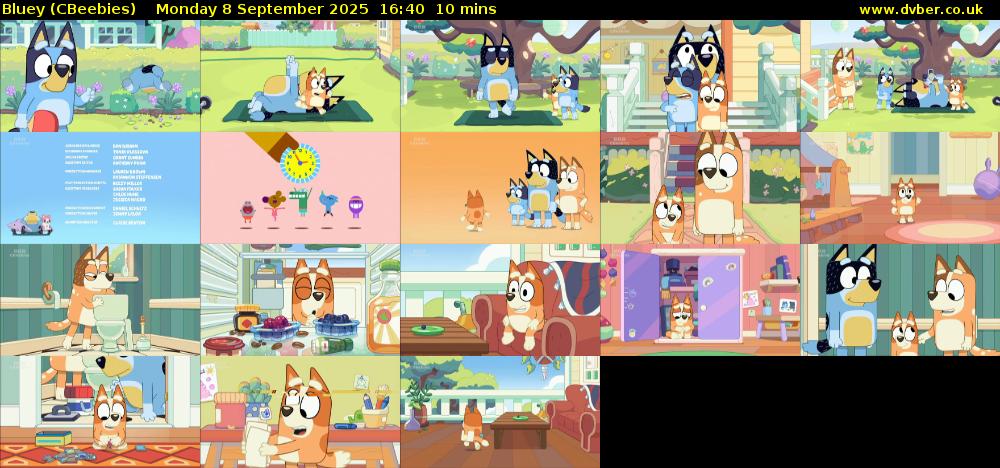 Bluey (CBeebies) Monday 8 September 2025 16:40 - 16:50