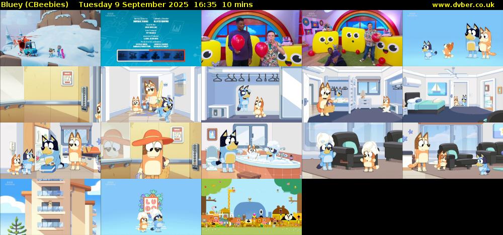 Bluey (CBeebies) Tuesday 9 September 2025 16:35 - 16:45