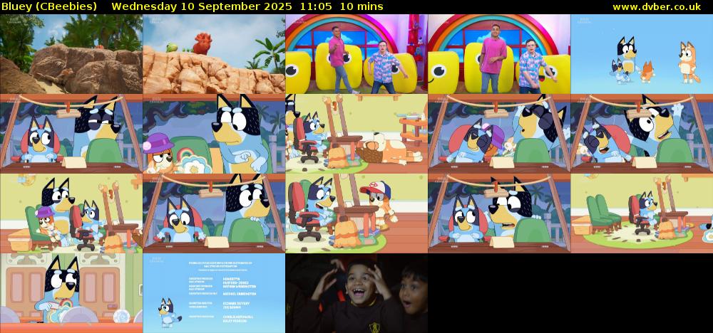 Bluey (CBeebies) Wednesday 10 September 2025 11:05 - 11:15